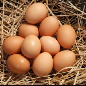Highland Farm Fresh Eggs