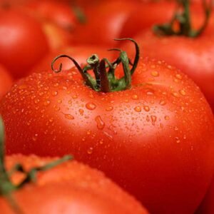 GreenLeaf Organics Tomatoes